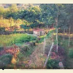 Quinta Do Tojal - Tourism Immersed In Nature! Holiday home