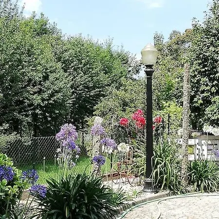 Quinta Do Tojal - Tourism Immersed In Nature!