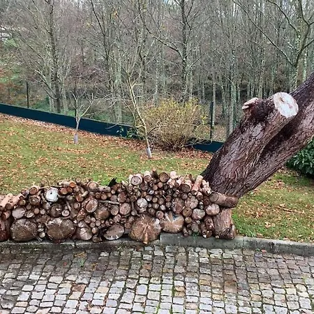 Quinta Do Tojal - Tourism Immersed In Nature! Дом отдыха