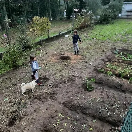 Quinta Do Tojal - Tourism Immersed In Nature!