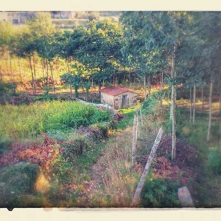 Quinta Do Tojal - Tourism Immersed In Nature! بيت للعطل