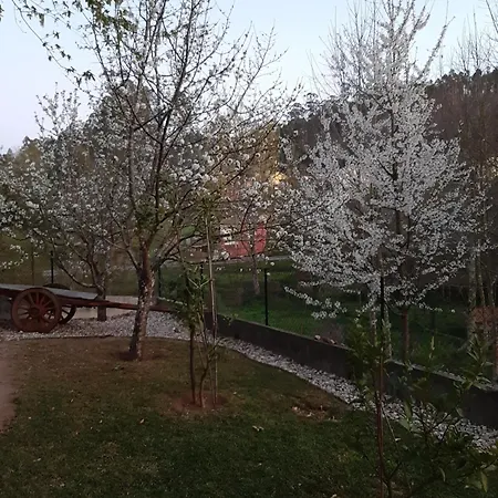 Quinta Do Tojal - Tourism Immersed In Nature! Дом отдыха Vilar Maior