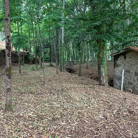 Quinta Do Tojal - Tourism Immersed In Nature! * Vilar Maior